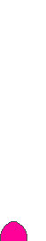 image22.gif (2703 bytes)
